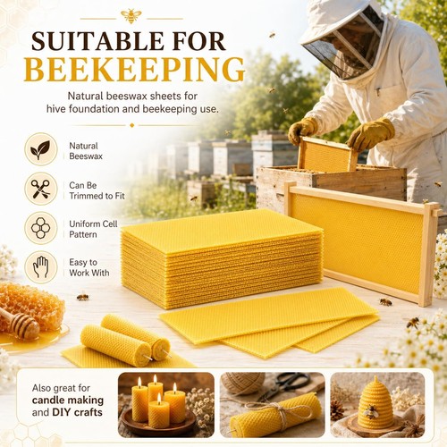 150x bee hive unwired wax - bee,