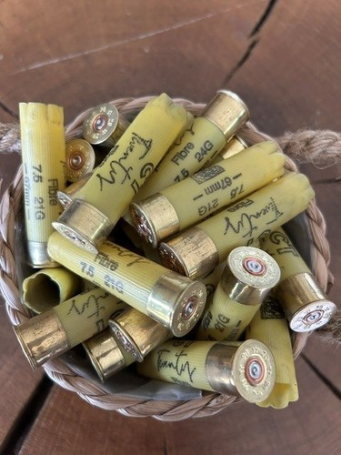 Spent shotgun cartridge cases - spent,