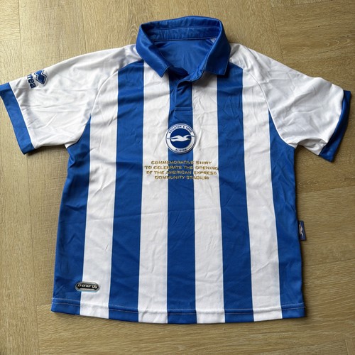 Brighton and hove albion - brighton,