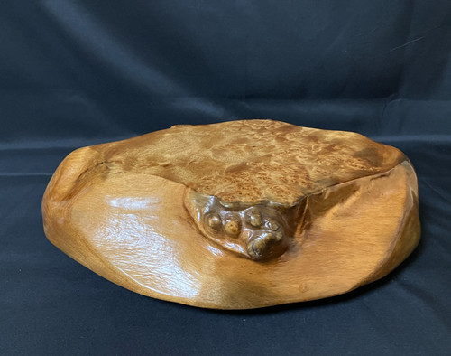 Japanese burl wood display - burl,