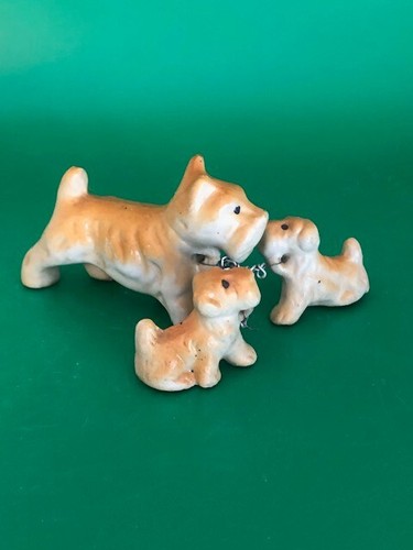 Vintage scottish terrier with - scottish,