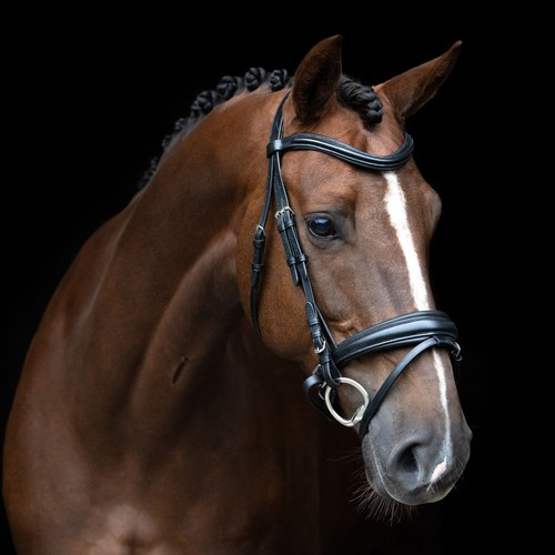 Imperial riding irh - imperial, sleek