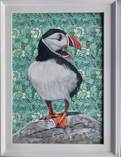Original wild bird - wild, puffin