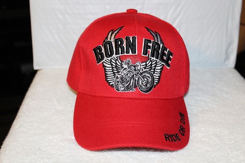 Motorcycle wings born - motorcycle,