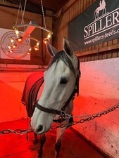 Horse solarium 1500w brand - , new