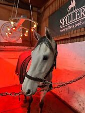 Horse solarium 1500w brand new