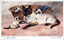 Postcard MABEL GEAR Siamese Cats and Kittens Kitty Cats No. 5070