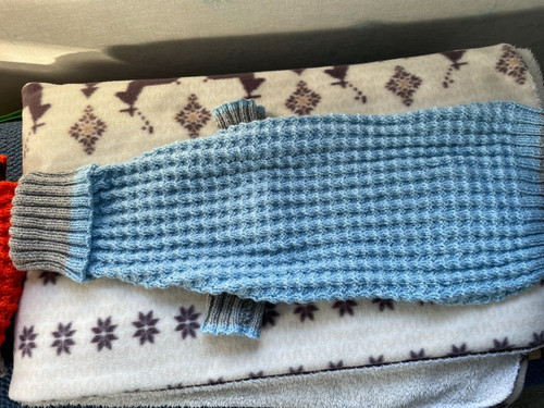 Hand knitted dog - dog, coat
