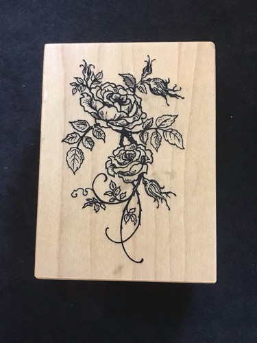 Antique rose flower - rose,