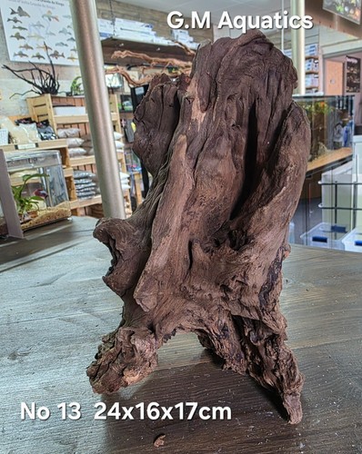 Driftwood bog wood no - /,