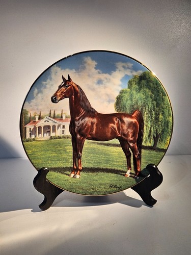 George the saddlebred - w,