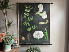 Vintage educational school