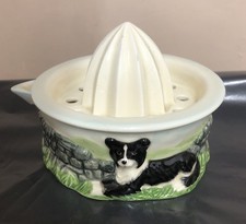 Border Collie Juicer, James