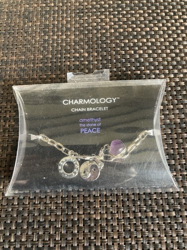 Charmology amethyst stone - charmology,