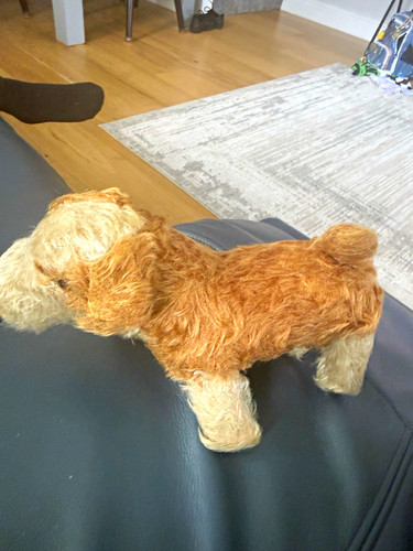 Vintage steiff foxy fox - foxy,