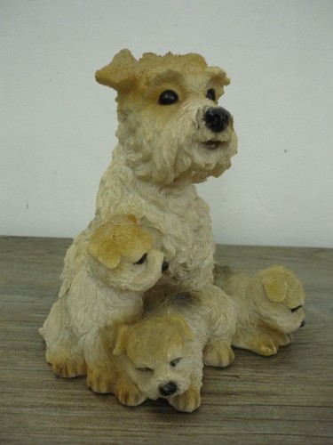 Vintage wire haired - vintage,