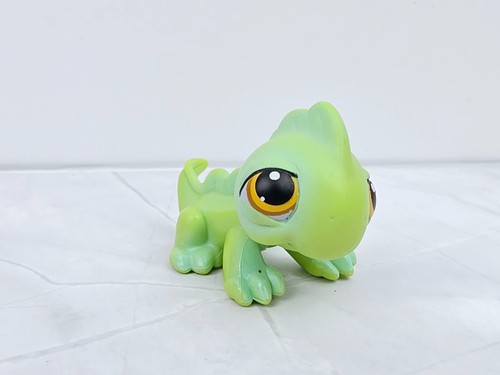 Iguana lizard littlest - #29,