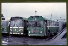 Bus Slide WITHOUT COPYRIGHT