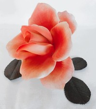 Beautiful Royal Worcester