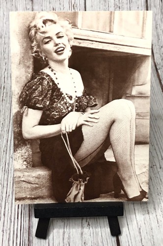 Marilyn monroe bus stop - in,