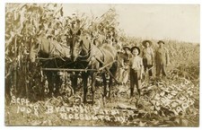 RPPC NY Rossburg Branch Farm Horse Drawn Equipment  Wyoming Co Antique Postcard