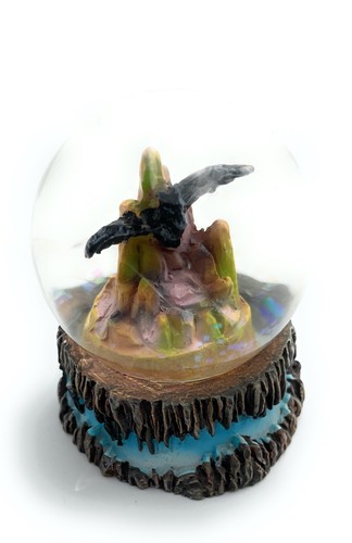 Bat microchiroptera flying fox - microchiroptera,