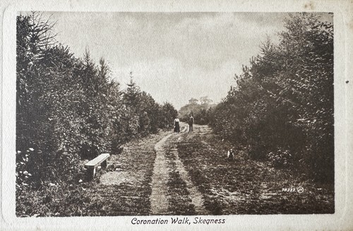Coronation walk skegness - walk,