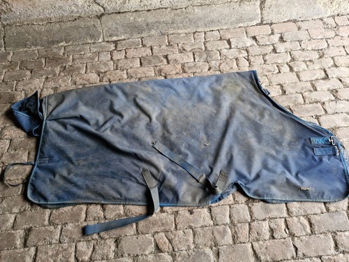 Horseware amigo 100g turnout - amigo,