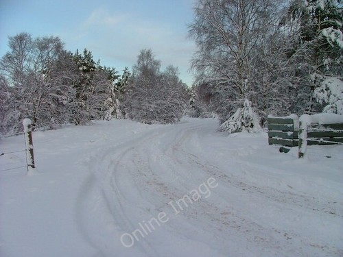 Photo 6x4 track into - 6x4, the