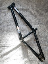 Dragonfly Alex Bender frame