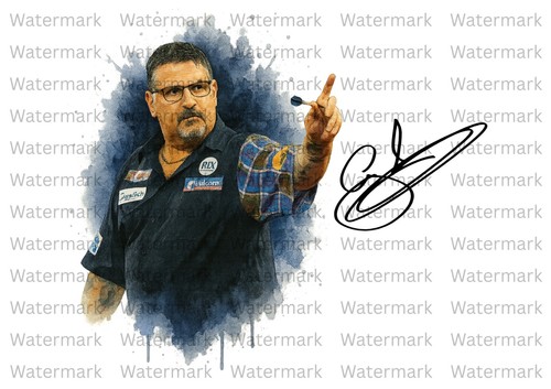 Gary anderson darts signed - anderson,
