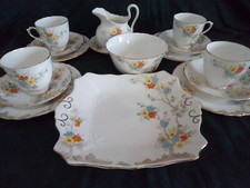 Tuscan Plant Vintage 16 Piece