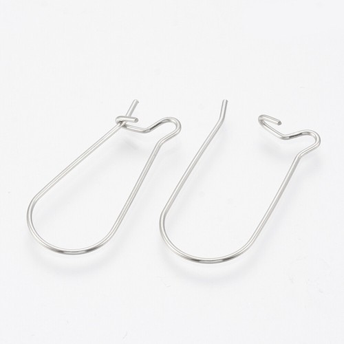 Stainless steel earring wires - steel,