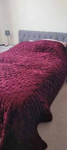 John lewis boutique - lewis, velvet