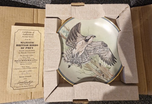 Water wings plate from - wings,