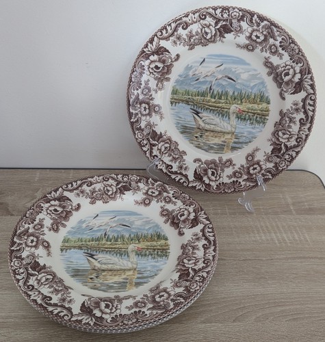 Spode woodland swan snow - woodland,