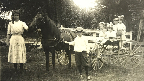 Rppc horse pony buggy cart - pony,