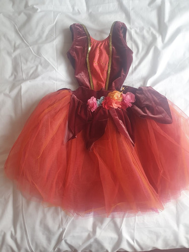 Pink ballet dress tutu - dress,