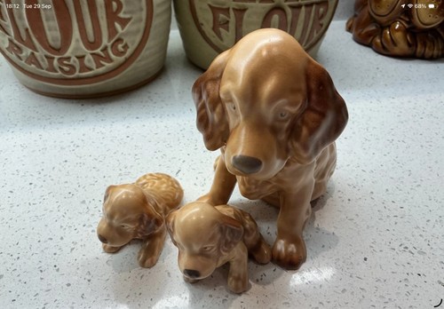 Sylvac dog and puppies ceramic - dog,