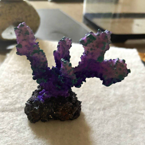 Purple synthetic artificial - purple,