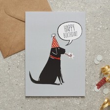 Dog Birthday Greeting Card By Sweet William