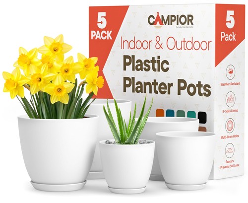 Plastic plant pots with - plant,