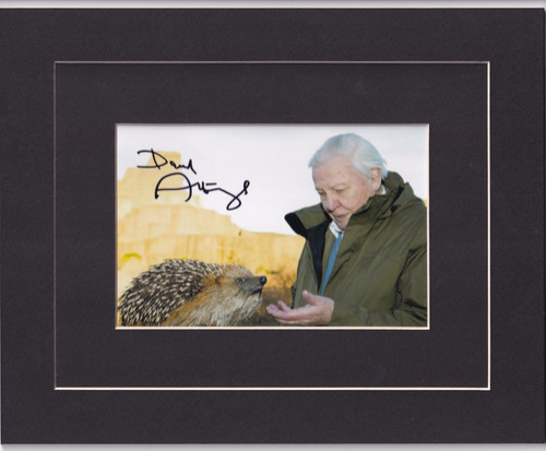 Sir david attenborough - david, signed