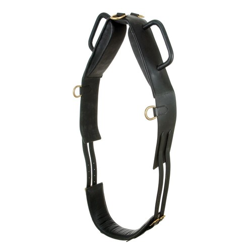 Horse trick riding and healing - horse,