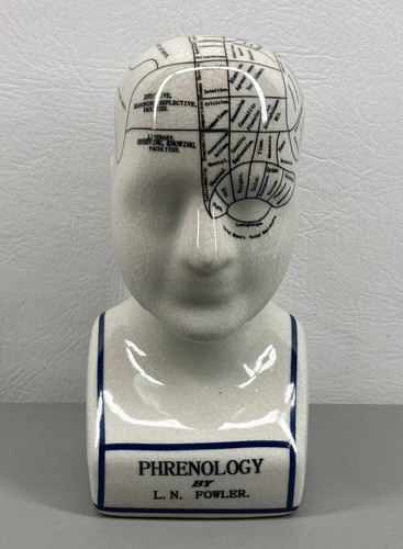 Phrenology head bust n - bust, l.n