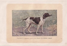 1896 DUPOY POINTER DOG Print -