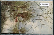 Jig Saw puzzle rural scene complete plain back