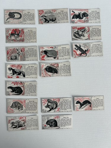 Typhoo tea cards some - tea,