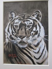 Two Fine Antique Tiger