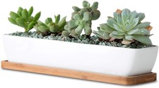 WISH HALLY WOOD 11inch Long Rectangle White Ceramic Succulent Planter Pots/Mini